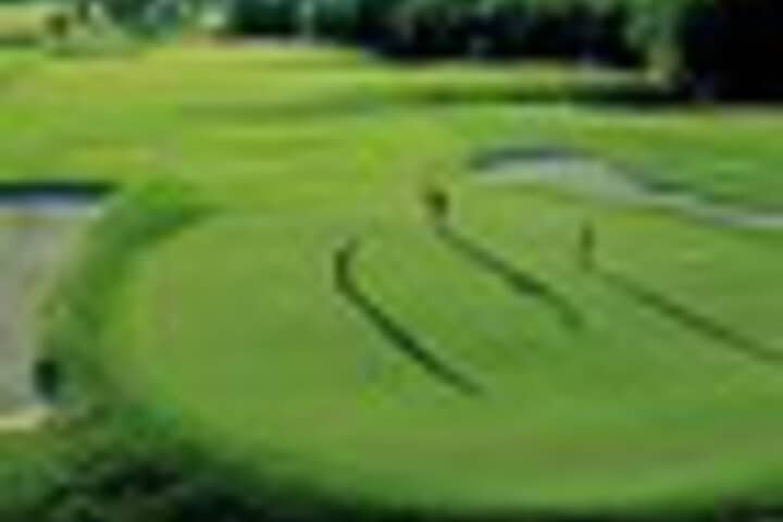 Golf 239 of 396